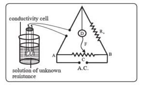 cell constant