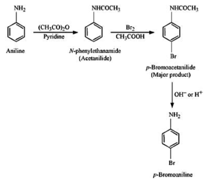 (ii) Aniline into p-bromoaniline.